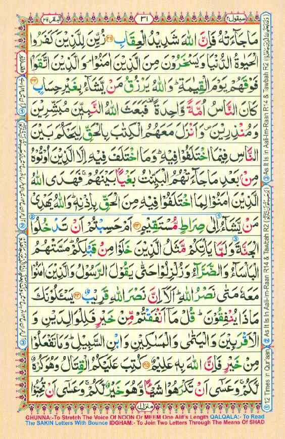 Surah Baqarah Page 29 in color coded with tajweed