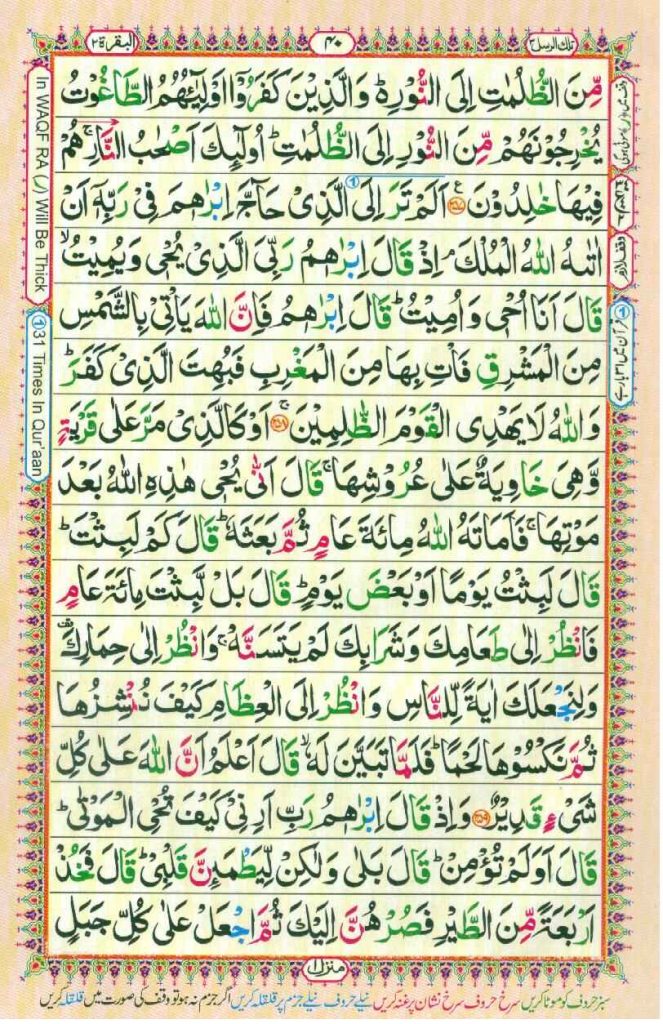 Surah Baqarah Page 38 in color coded with tajweed